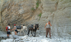 Kreta bezienswaardigheden - Samaria kloof